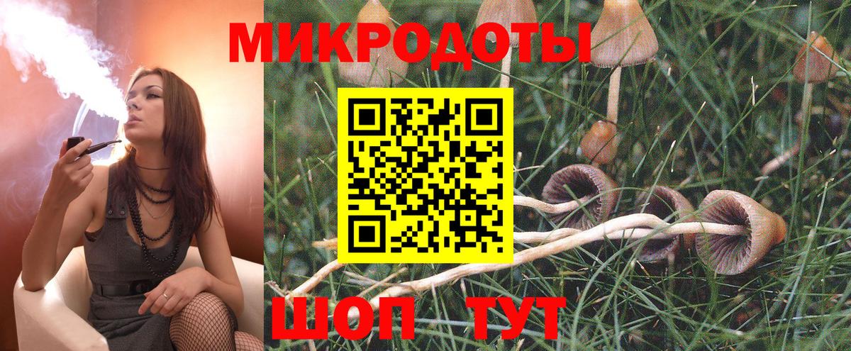Псилоцибиновые грибы мухоморы  Галлюциногенные грибы ЛСД  Кувандык  Вход с VPN 